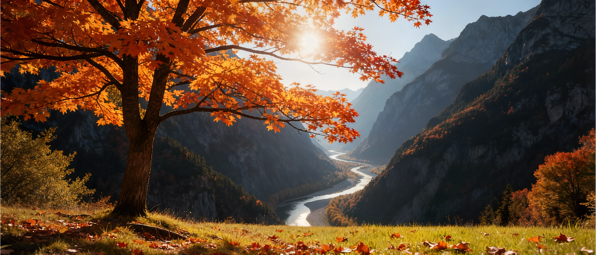 Landscapes & Scenery