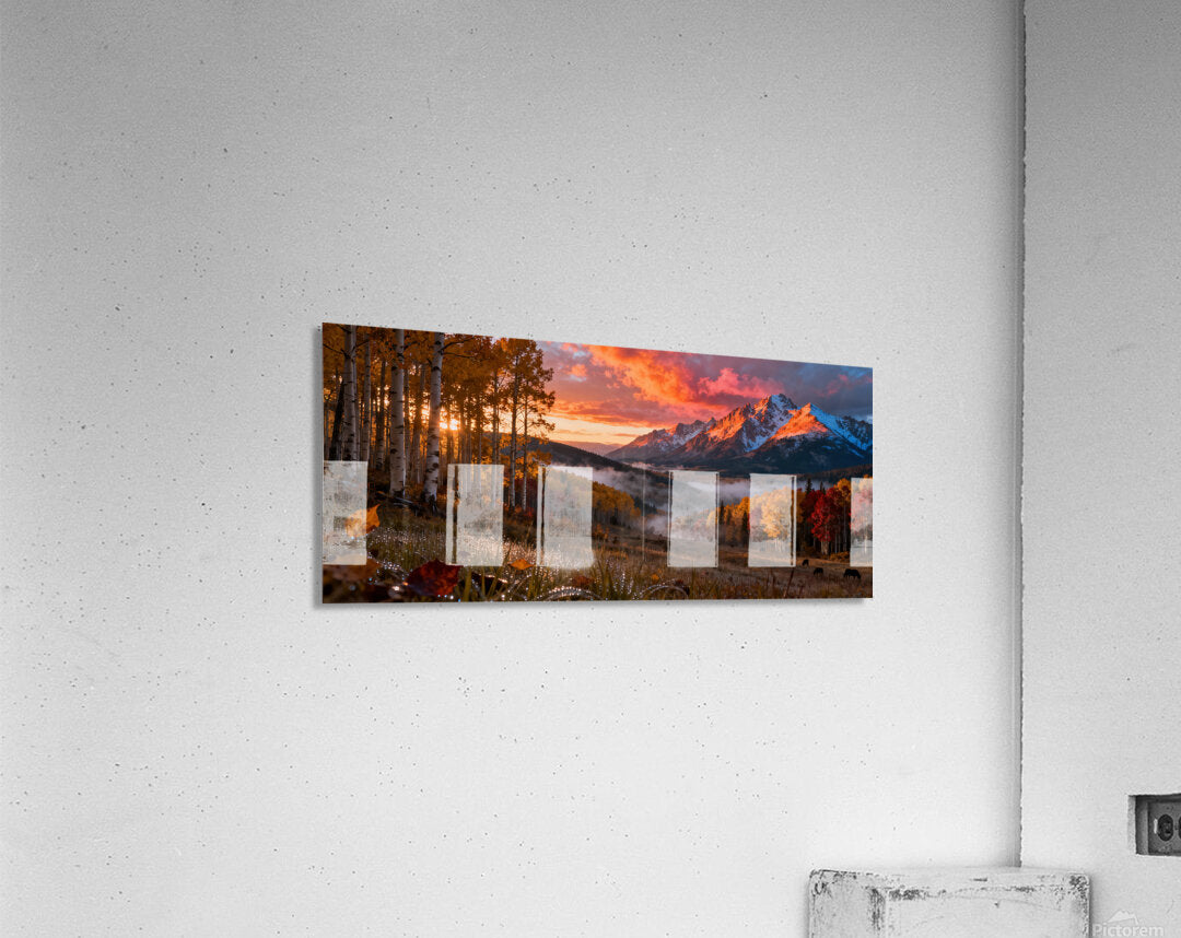 2471796 :: Acrylic Print