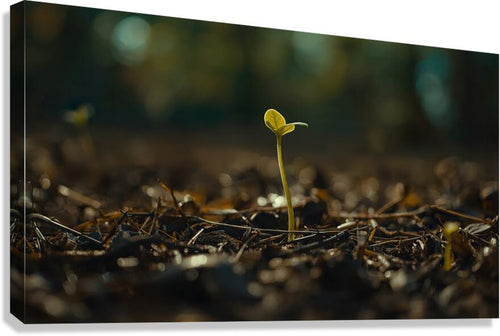 2465405 :: Giclée Stretched Canvas Print