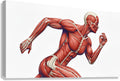 2465611 :: Giclée Stretched Canvas Print