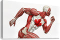 2471288 :: Giclée Stretched Canvas Print