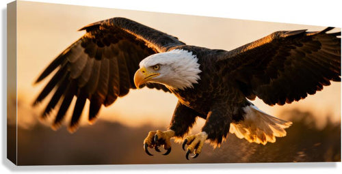 2472616 :: Giclée Stretched Canvas Print