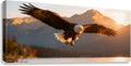 2473431 :: Giclée Stretched Canvas Print