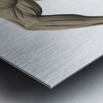 2465577 :: Brushed Metal Print