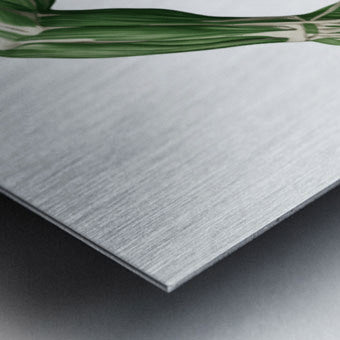 2465578 :: Brushed Metal Print