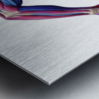 2465579 :: Brushed Metal Print