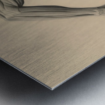 2465580 :: Brushed Metal Print
