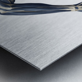 2465582 :: Brushed Metal Print