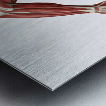 2465584 :: Brushed Metal Print