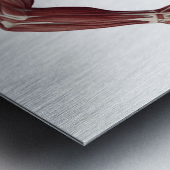 2465585 :: Brushed Metal Print