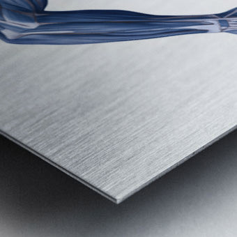 2465586 :: Brushed Metal Print