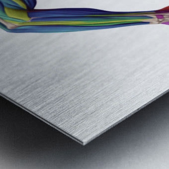 2465587 :: Brushed Metal Print