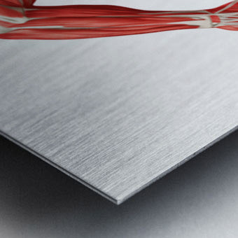 2465589 :: Brushed Metal Print