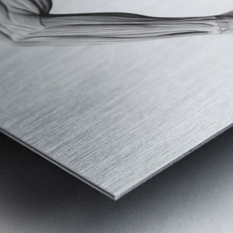 2465610 :: Brushed Metal Print