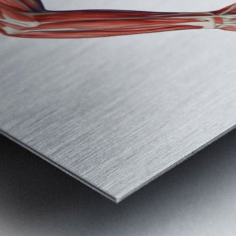 2465611 :: Brushed Metal Print