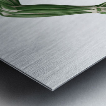 2465613 :: Brushed Metal Print