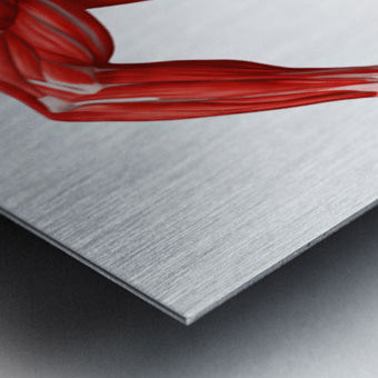 2466038 :: Brushed Metal Print