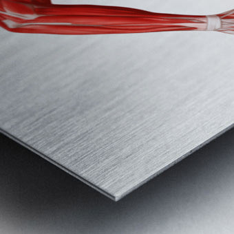 2466039 :: Brushed Metal Print