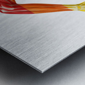 2466040 :: Brushed Metal Print