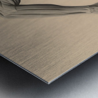 2466041 :: Brushed Metal Print