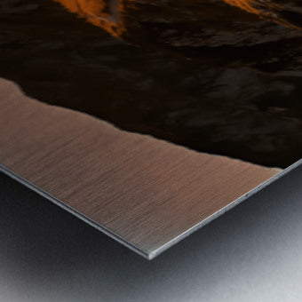 2469011 :: Brushed Metal Print