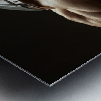 2471286 :: Brushed Metal Print