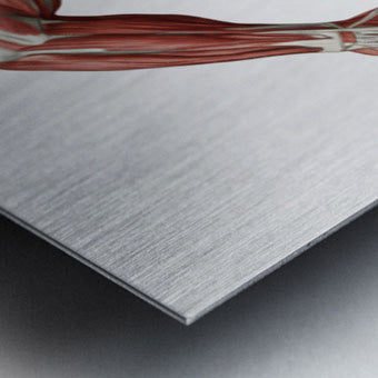 2471288 :: Brushed Metal Print