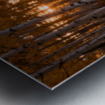 2471796 :: Brushed Metal Print