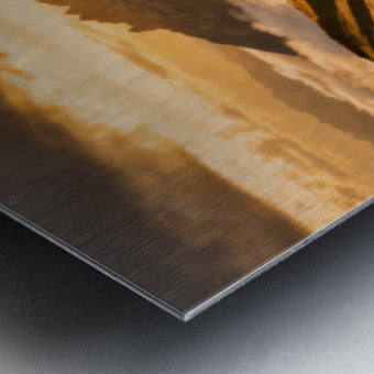 2472352 :: Brushed Metal Print