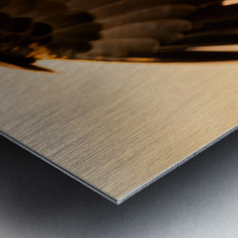 2472616 :: Brushed Metal Print