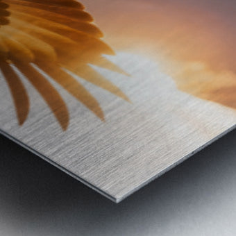 2473430 :: Brushed Metal Print