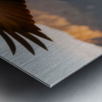 2473431 :: Brushed Metal Print
