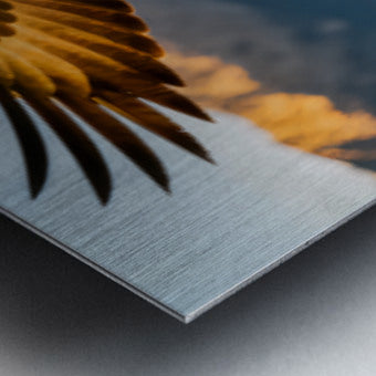 2473433 :: Brushed Metal Print