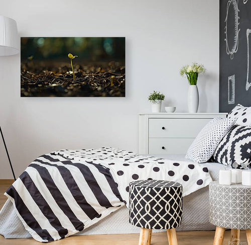 2465405 :: Giclée Stretched Canvas Print