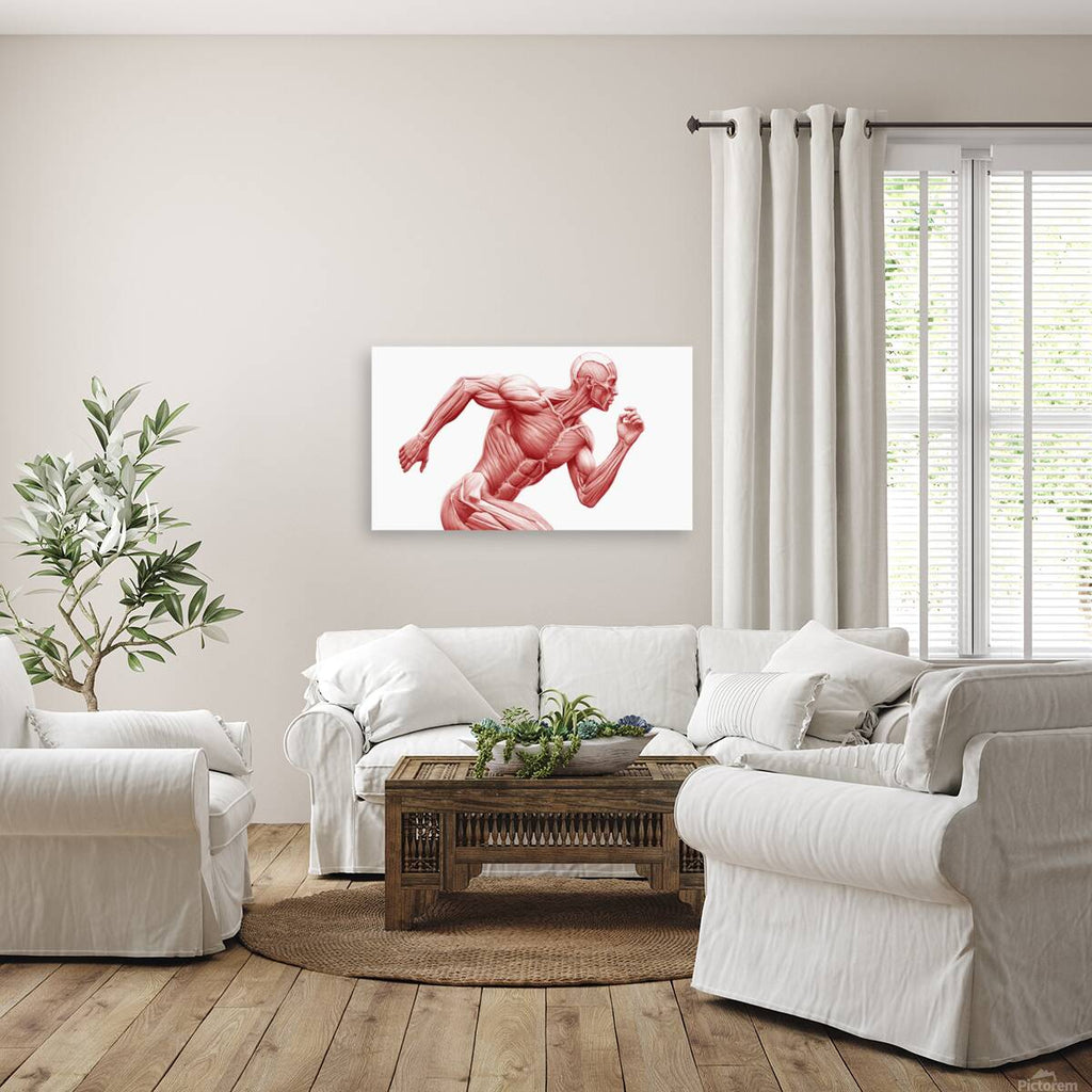 2465583 :: Giclée Stretched Canvas Print