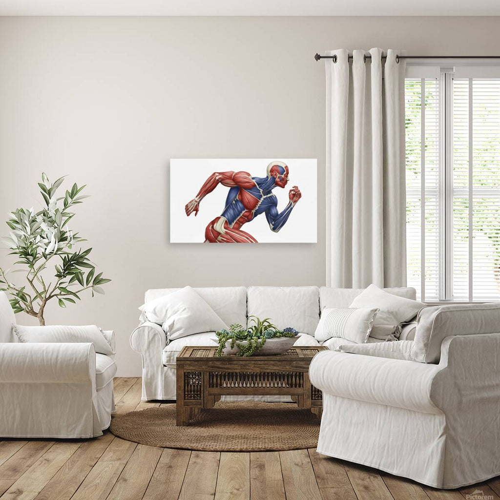 2465584 :: Giclée Stretched Canvas Print