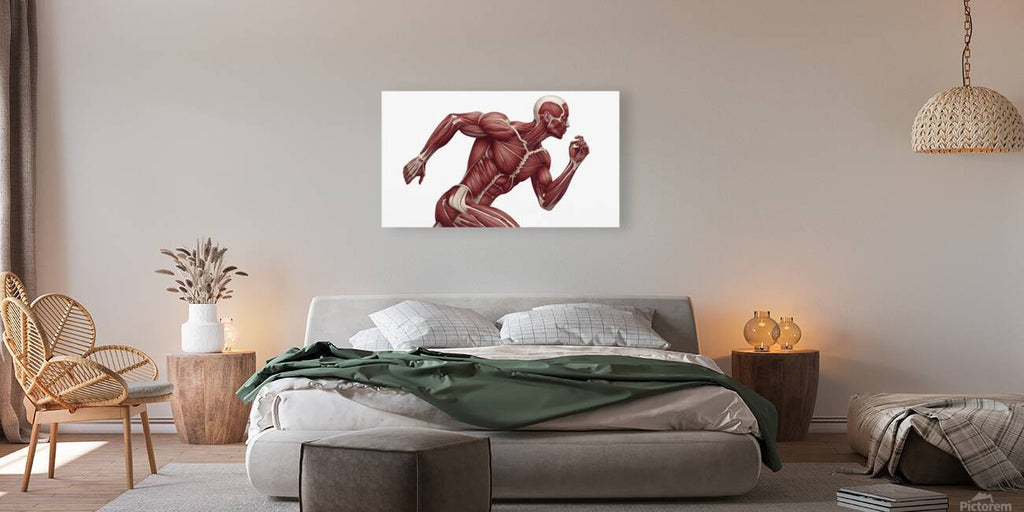2465585 :: Giclée Stretched Canvas Print