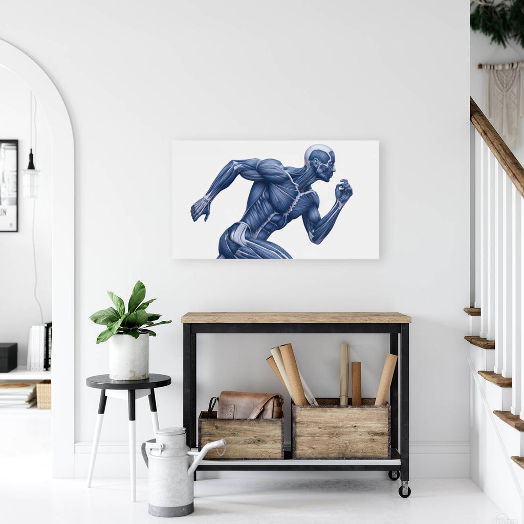 2465586 :: Giclée Stretched Canvas Print