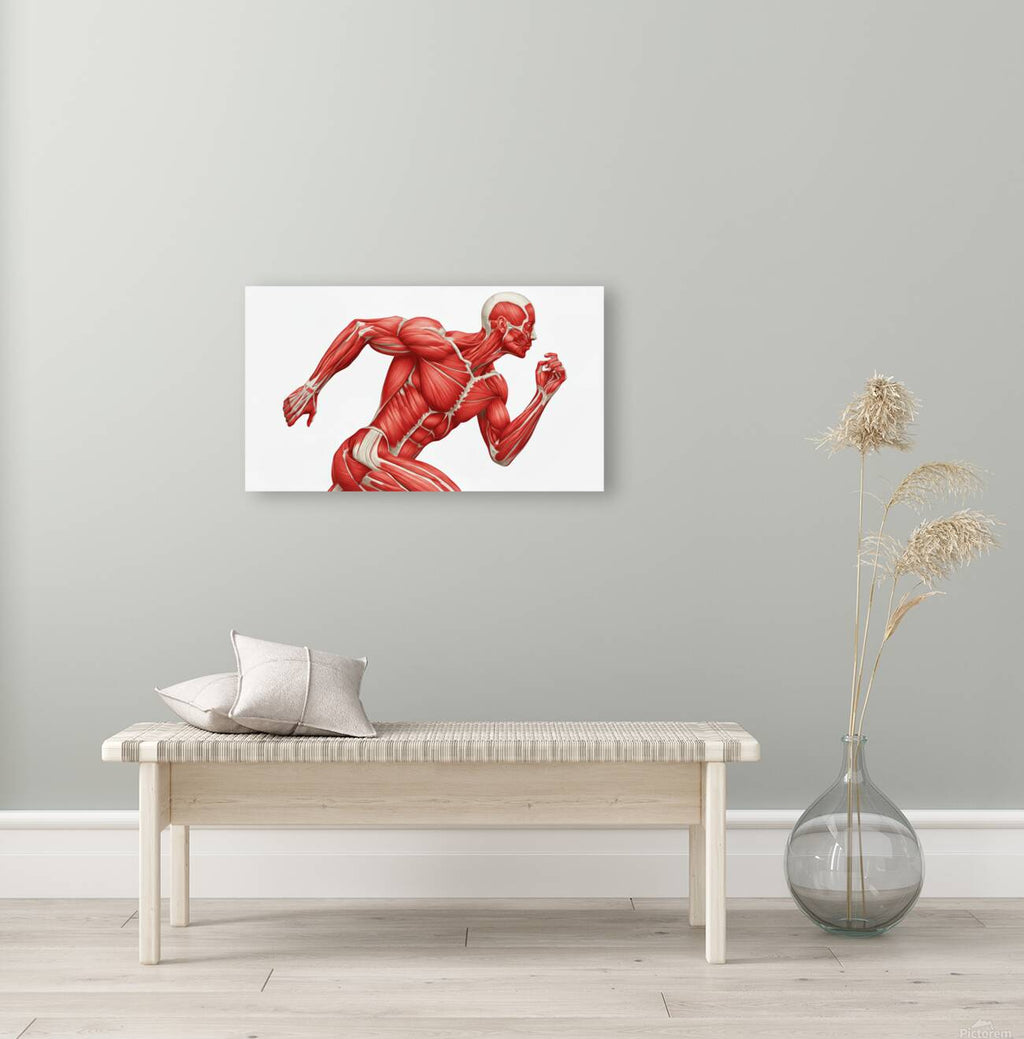 2465589 :: Giclée Stretched Canvas Print