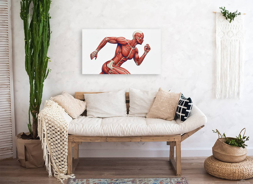 2465611 :: Giclée Stretched Canvas Print