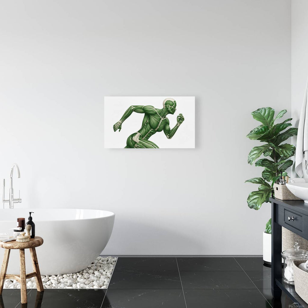 2465613 :: Giclée Stretched Canvas Print