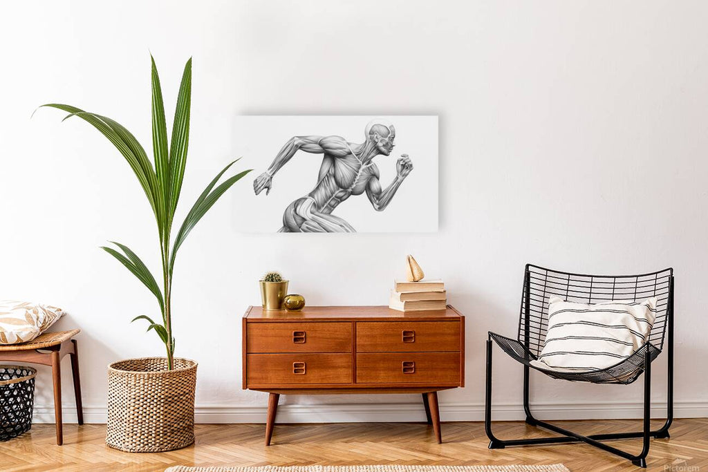 2466036 :: Giclée Stretched Canvas Print