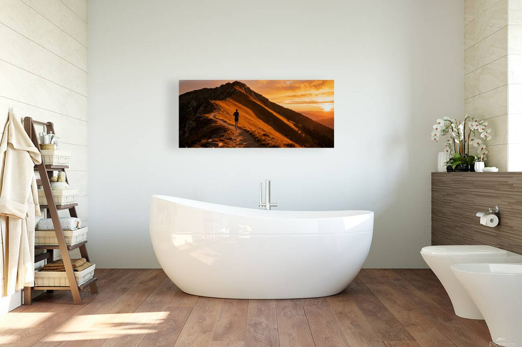 2469011 :: Giclée Stretched Canvas Print