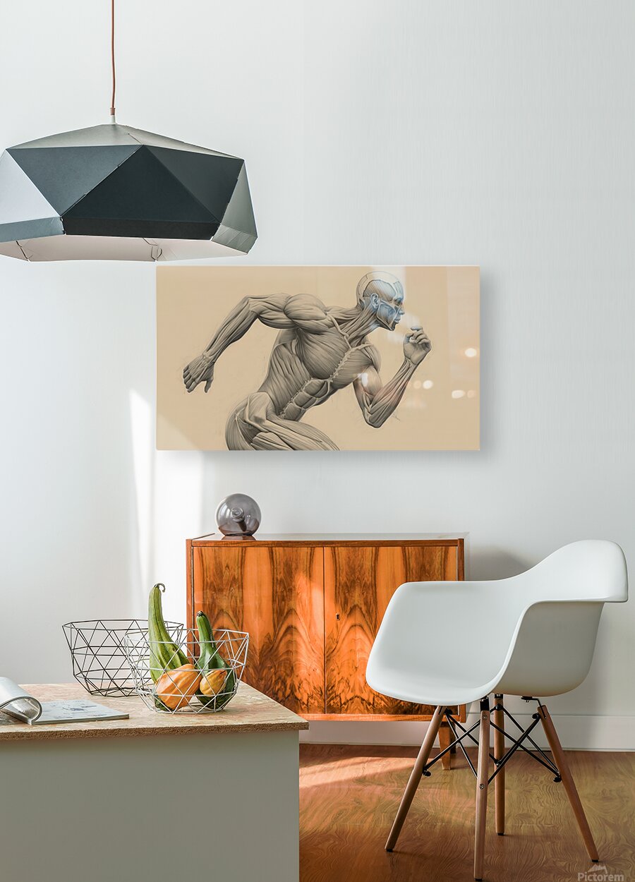 2465580 :: HD Sublimation Metal Print