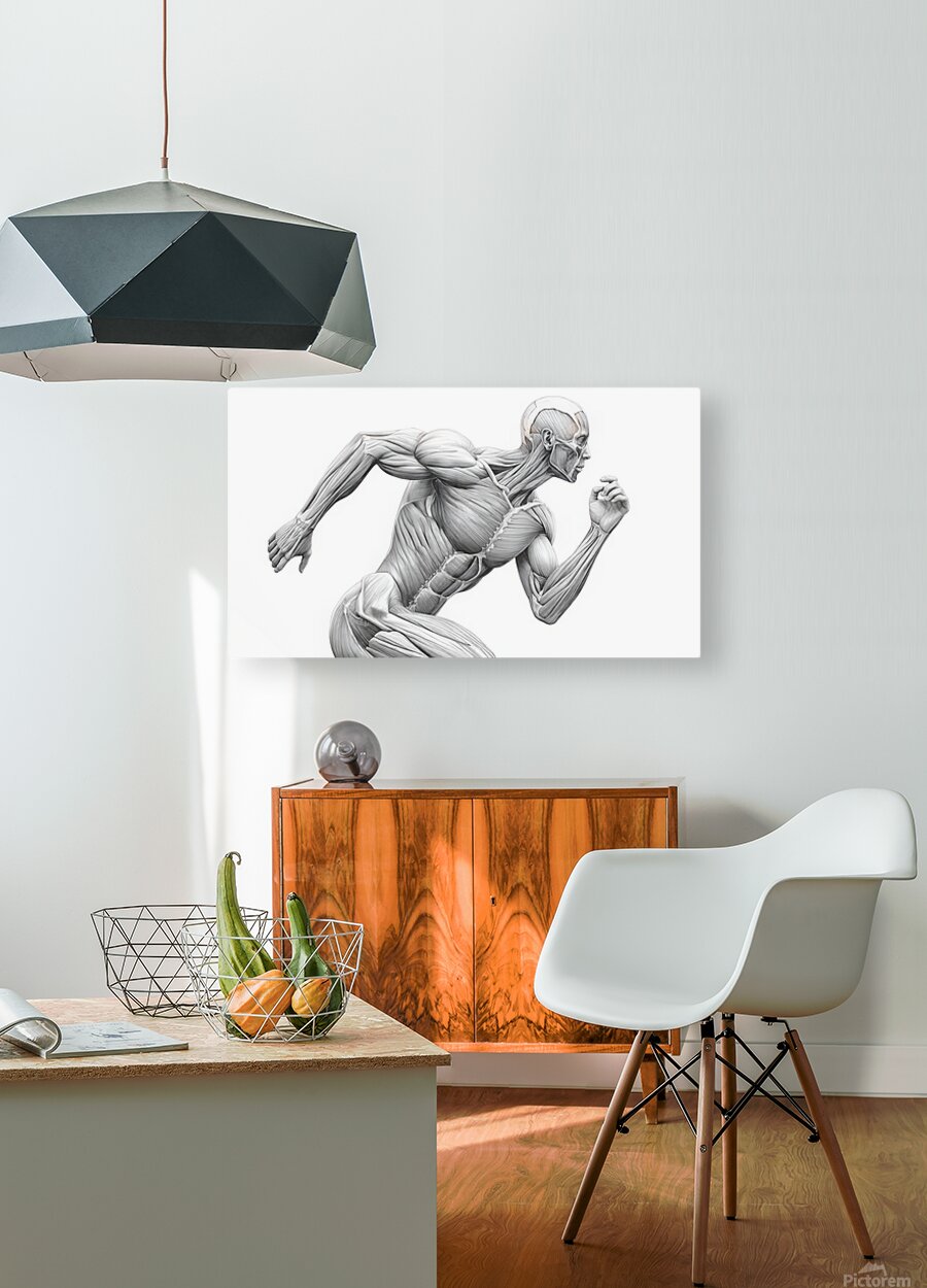 2465610 :: HD Sublimation Metal Print