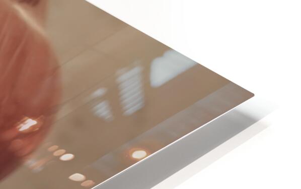 2465363 :: HD Sublimation Metal Print