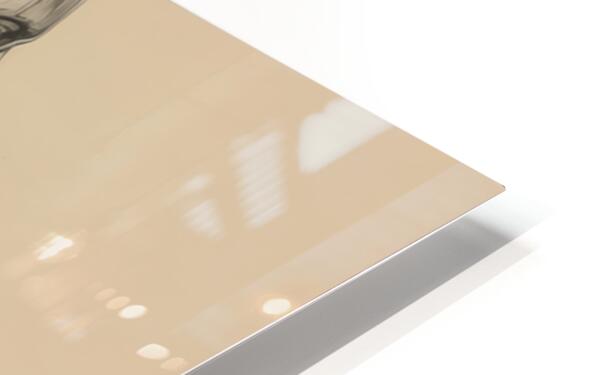 2465580 :: HD Sublimation Metal Print