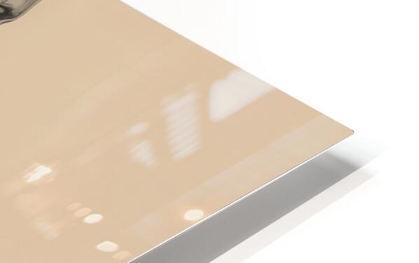 2466041 :: HD Sublimation Metal Print