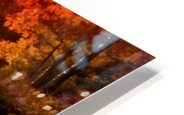 2472356 :: HD Sublimation Metal Print