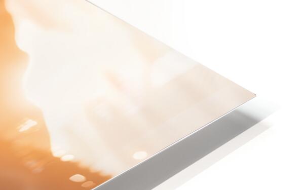 2473431 :: HD Sublimation Metal Print